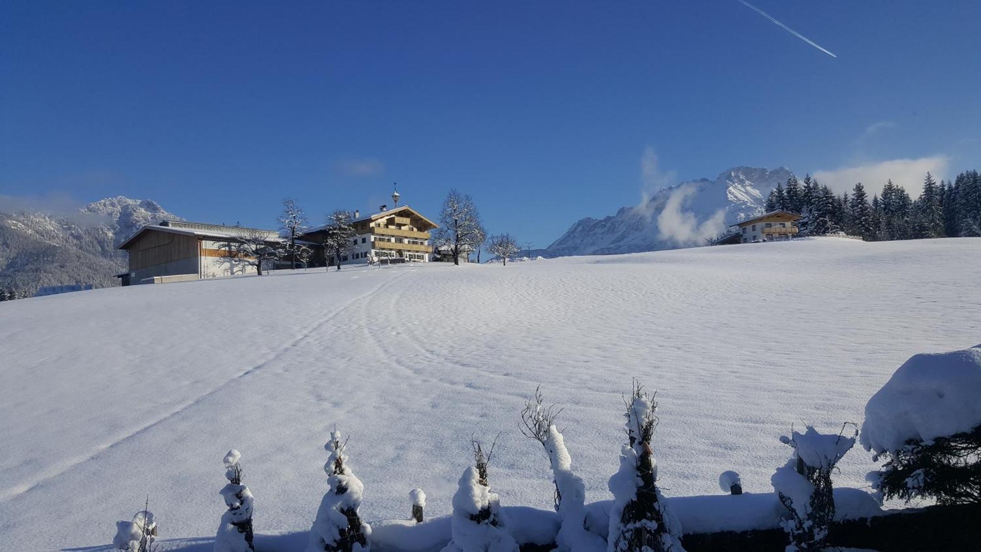 Appartement Seebacher Hochfilzen Extérieur photo
