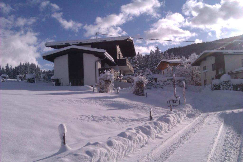 Appartement Seebacher Hochfilzen Extérieur photo